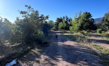Condominio de Parcelas en Carmen Bajo – Melipilla