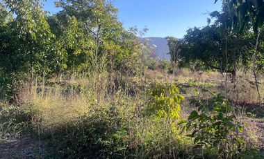 Condominio de Parcelas en Carmen Bajo – Melipilla