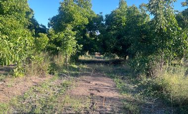 Condominio de Parcelas en Carmen Bajo – Melipilla