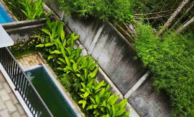 For rent luxury vila 3 bedroom with rooftop view jungle near Ubud