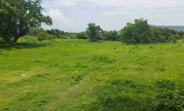Terreno de 10,000 m² en Venta – Ideal para Bodegas o Centro Logístico.