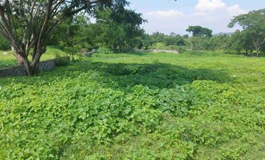 Terreno de 10,000 m² en Venta – Ideal para Bodegas o Centro Logístico.