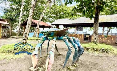 Beachfront Resort For Sale in Caloc-an, Magallanes, Agusan del Norte Fully-operational (Near Butuan City & Cabadbaran City)