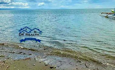 Beachfront Resort For Sale in Caloc-an, Magallanes, Agusan del Norte Fully-operational (Near Butuan City & Cabadbaran City)
