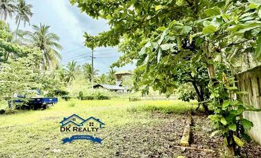 Beachfront Resort For Sale in Caloc-an, Magallanes, Agusan del Norte Fully-operational (Near Butuan City & Cabadbaran City)