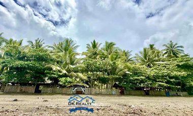 Beachfront Resort For Sale in Caloc-an, Magallanes, Agusan del Norte Fully-operational (Near Butuan City & Cabadbaran City)