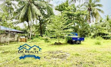 Beachfront Resort For Sale in Caloc-an, Magallanes, Agusan del Norte Fully-operational (Near Butuan City & Cabadbaran City)