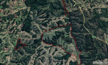 VENDE CAMPO FORESTAL 120 has (PORTEZUELO)