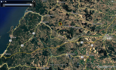 VENDE CAMPO FORESTAL 120 has (PORTEZUELO)