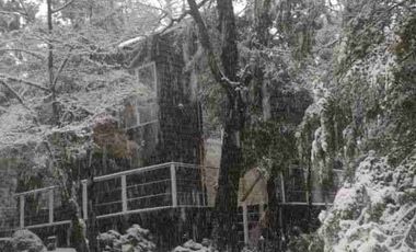 Oportunidad: Linda Parcela Camino a Termas de Chillan