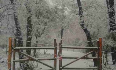 Oportunidad: Linda Parcela Camino a Termas de Chillan
