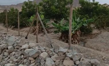 Venta de terreno agrícola en Huaral