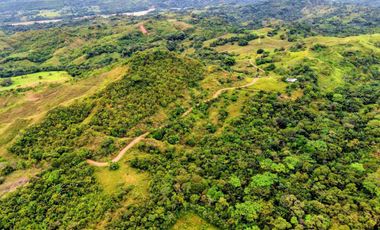 Finca de 44 hectáreas en venta
