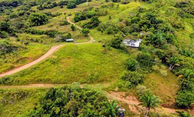 Finca de 44 hectáreas en venta