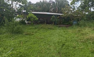 Finca de 44 hectáreas en venta