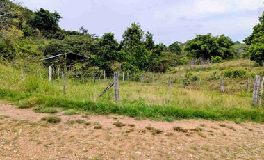 Finca de 44 hectáreas en venta