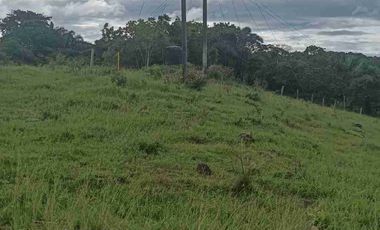 Finca de 44 hectáreas en venta
