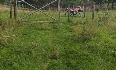 Finca de 44 hectáreas en venta