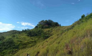 Finca de 44 hectáreas en venta