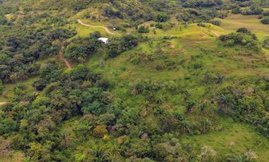 Finca de 44 hectáreas en venta