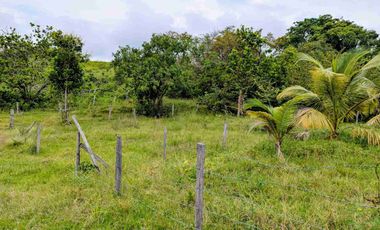 Finca de 44 hectáreas en venta
