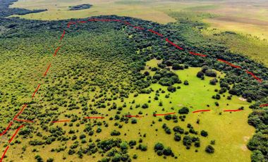 Finca de 32 hectáreas en venta