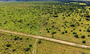 Finca de 32 hectáreas en venta
