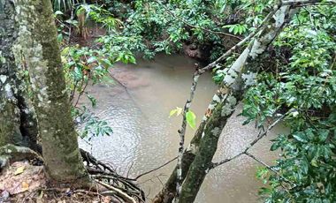 Finca de 32 hectáreas en venta