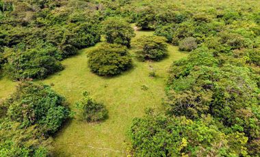 Finca de 32 hectáreas en venta