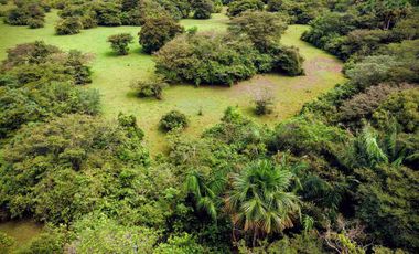 Finca de 32 hectáreas en venta