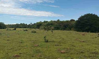 Finca de 32 hectáreas en venta