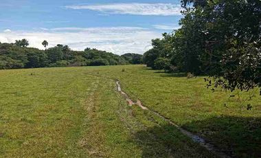 Finca de 32 hectáreas en venta