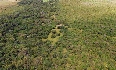 Finca de 32 hectáreas en venta