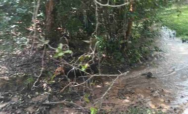 Finca de 32 hectáreas en venta