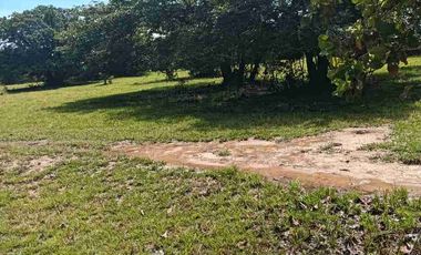 Finca de 32 hectáreas en venta
