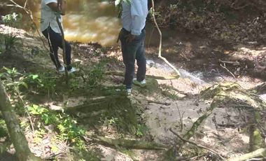 Finca de 32 hectáreas en venta