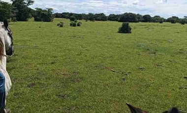 Finca de 32 hectáreas en venta