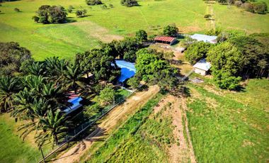 Finca de 148 hectáreas en venta