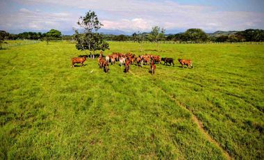 Finca de 148 hectáreas en venta
