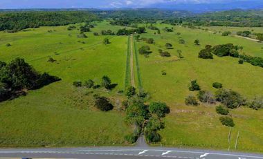 Finca de 148 hectáreas en venta