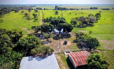 Finca de 148 hectáreas en venta