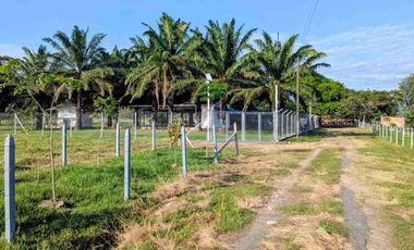 Finca de 148 hectáreas en venta