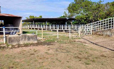 Finca de 148 hectáreas en venta