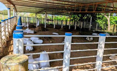 Finca de 148 hectáreas en venta
