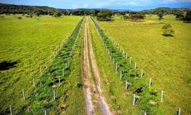 Finca de 148 hectáreas en venta