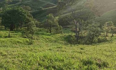 50 hectáreas, Finca a la venta