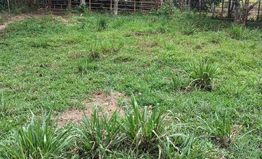 50 hectáreas, Finca a la venta
