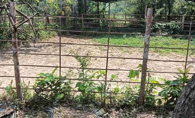 50 hectáreas, Finca a la venta