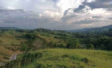 50 hectáreas, Finca a la venta