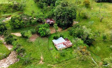 50 hectáreas, Finca a la venta